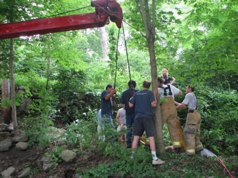 Horse Rescue - Guard Hill Road - 08/11/08
