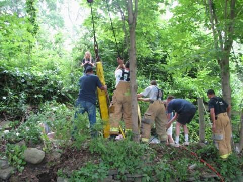 Horse Rescue - Guard Hill Road - 08/11/08